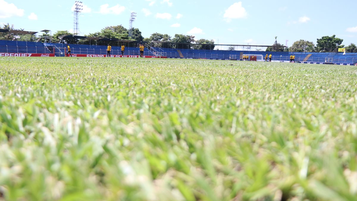 El nuevo césped del estadio Carlos Salazar hijo está listo para el duelo que sostengan los Venados frente a Antigua GFC. (Foto Prensa Libre: Cristian Soto)