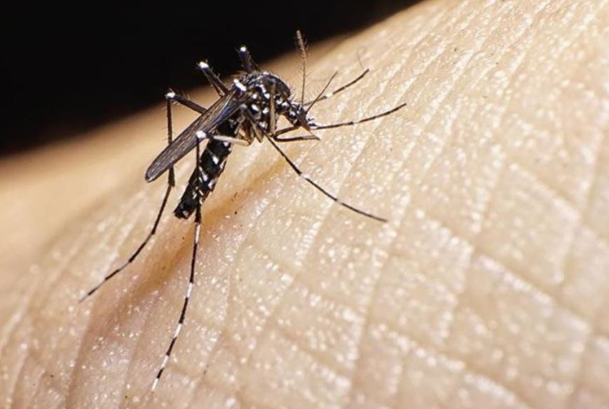 Con una sola gota de sangre del paciente se puede realizar la prueba del Zika en 10 minutos. (Foto Prensa Libre: Hemeroteca)