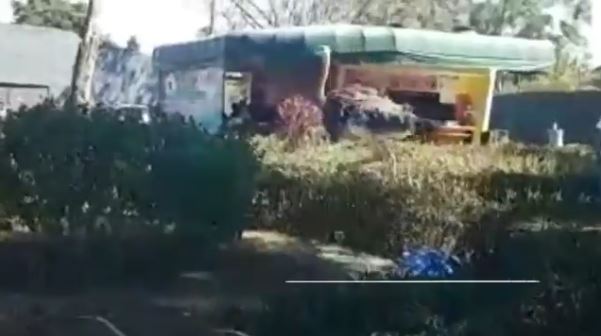 El avestruz recorrió áreas verdes y parqueos de la Usac. (Foto Prensa Libre: Twitter)