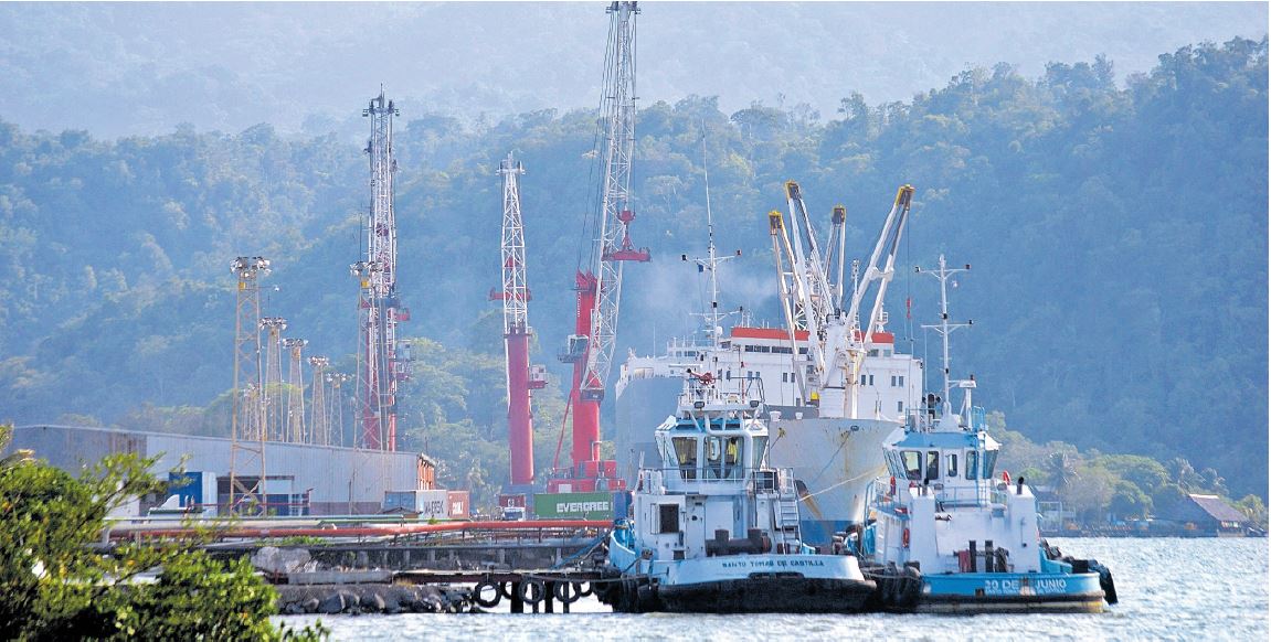 El volumen de las exportaciones de productos agrícolas muestra un crecimiento y es signo de la recuperación económica mundial. (Foto Prensa Libre: Hemeroteca) 