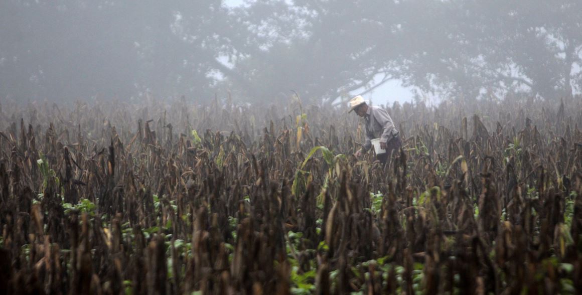 “La región no está haciendo un trabajo de respuesta en conjunto” . (Foto Prensa Libre: EFE).