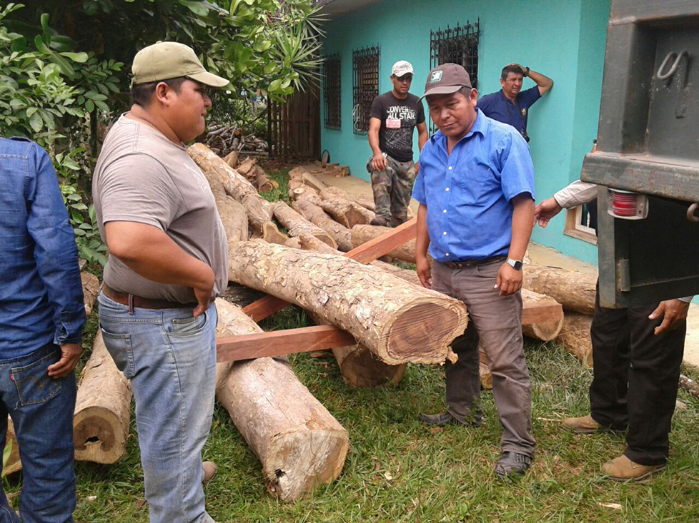 Troncos de rosul son incautados por personal del Conap en Poptún, Petén. (Foto Prensa Libre: Walfredo Obando)