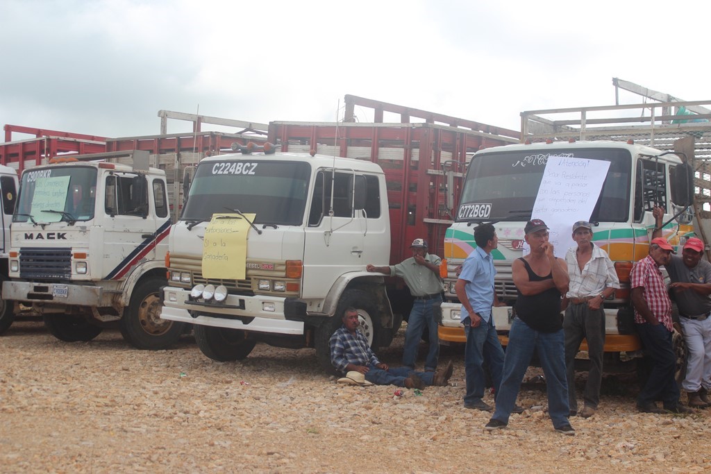 Vendedores de ganado protestan en el área urbana de La Libertad, Petén. (Foto Prensa Libre: Rigoberto Escobar).