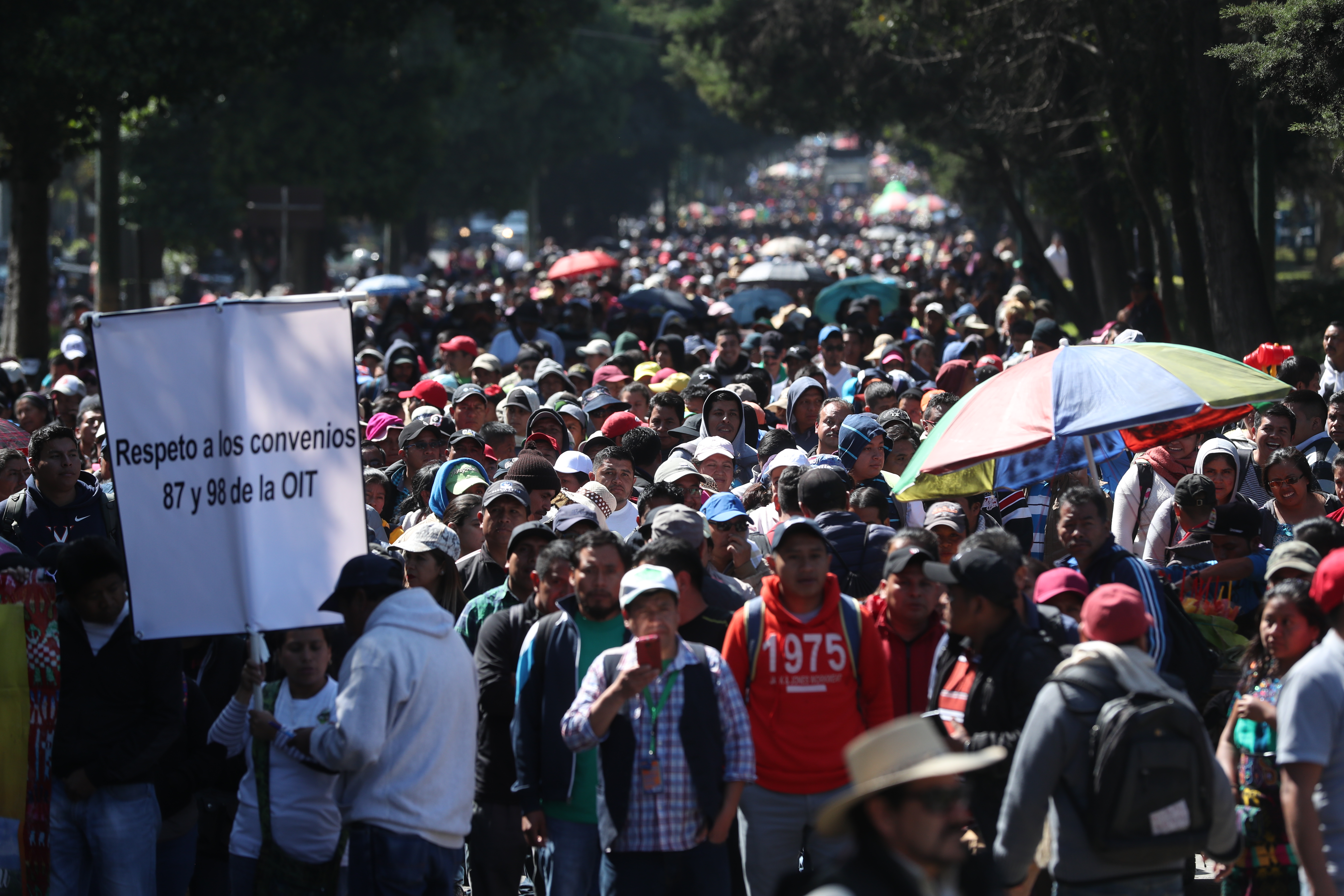 El ministerio de Educación necesita una ampliación presupuestaria de Q800 millones para poder cumplir con el pacto colectivo que para este año es de un incremento del 5%. (Foto Prensa Libre: Hemeroteca)  