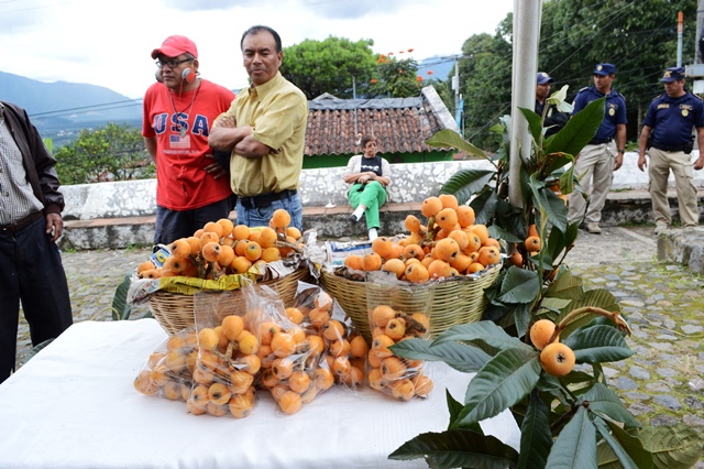 Festival del Níspero se realiza este sábado y domingo en la Plazuela de San Juan del Obispo. (Foto prensa Libre: Miguel López)