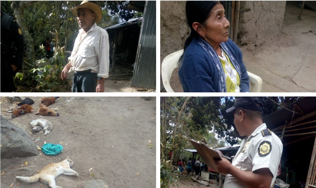 Perros, gatos y gallinas fueron envenenados en el patio de una vivienda en El Pinalito, Chiquimula, propiedad de Roberto Díaz Pérez y Abelina Pérez García. (Foto Prensa Libre: Mario Morales)