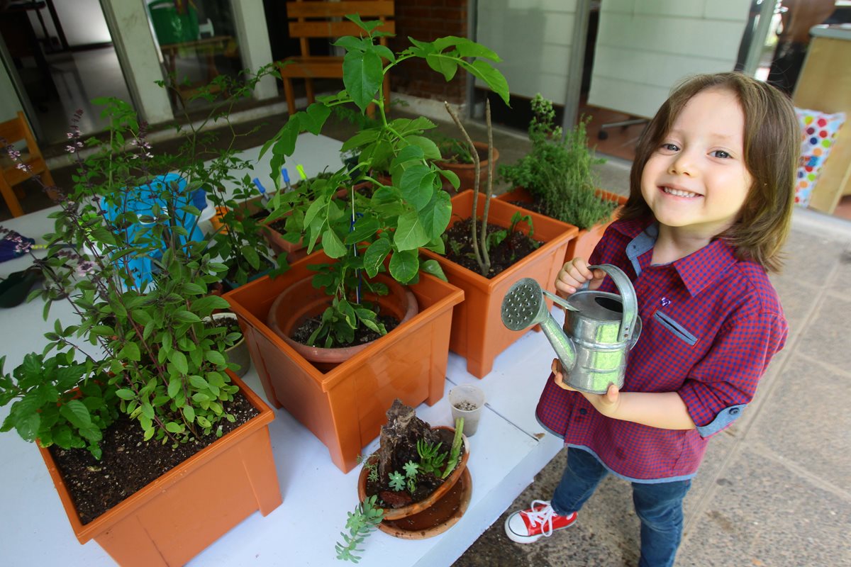 Matías, de 4 años, riega las hortalizas y especies que junto a su padre cultiva en su vivienda, en la zona 15 capitalina. (Foto Prensa Libre: Álvaro Interiano)