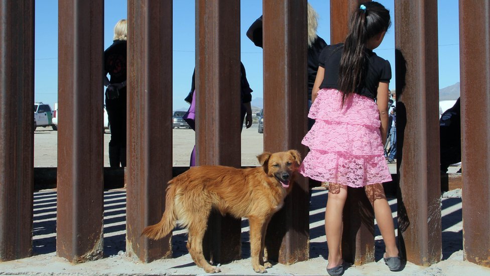 Cada vez se rechazan más solicitudes de asilo en EE. UU. GETTY IMAGES