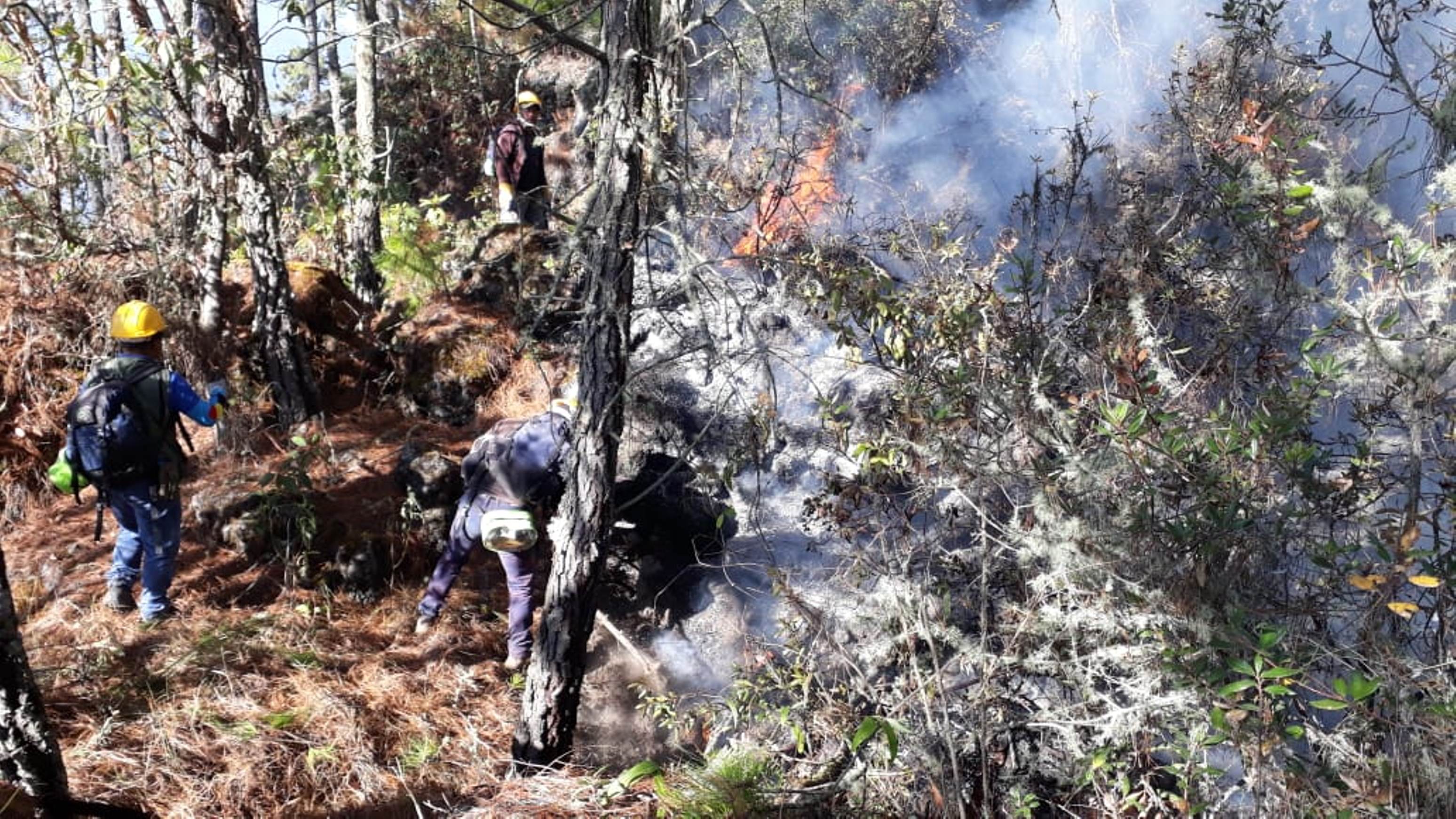 El personal de la comuna que ayuda para apagar el incendio continua con sus labores. (Foto Prensa libre: cortesía Gestión de Riesgos)