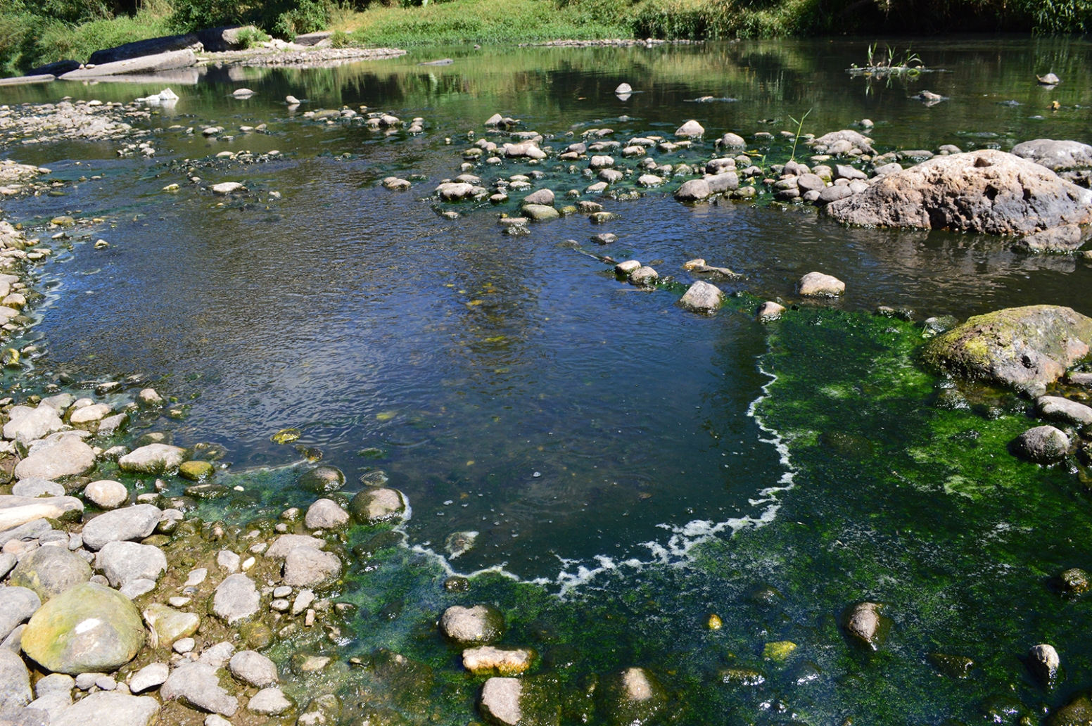 Campesinos aseguran que a simple vista se puede observar el alto grado de contaminación en el río Lempa, causada por el lanzamiento de aguas mieles del café. (Foto Prensa Libre: Mario Morales)