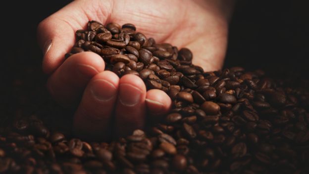 La exportación de café para 2019, será de 4.4 millones de quintales, según la estimación de Anacafé. (Foto Prensa Libre: Hemeroteca)