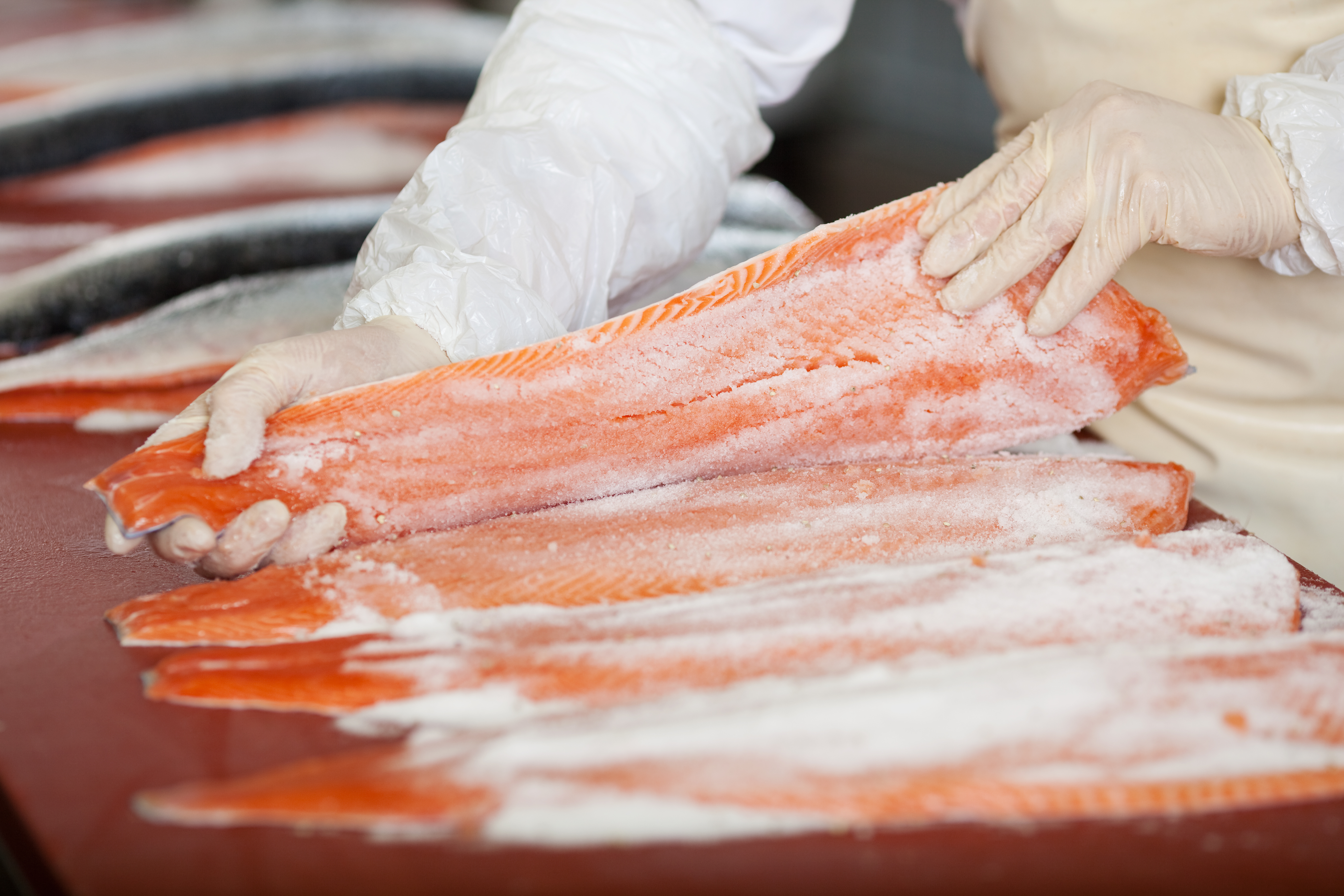 Parte del producto saldrá del esqueleto del pescado para convertirse en concentrado para animales. (Foto Prensa Libre: Hemeroteca)  