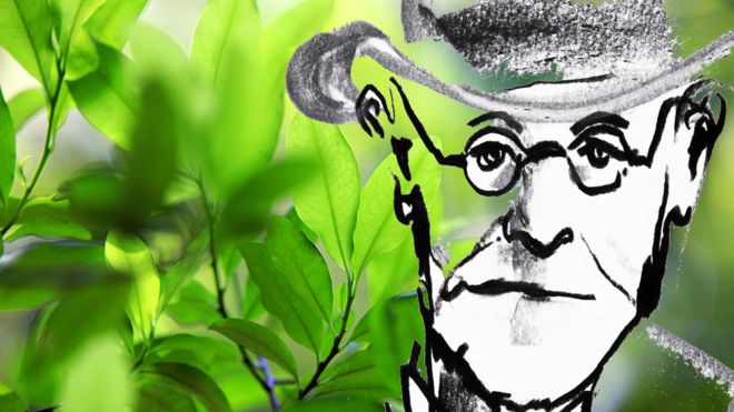 Freud quiso investigar a fondo la planta que tradicionalmente se usaba en Sudamérica. (GETTY IMAGES)