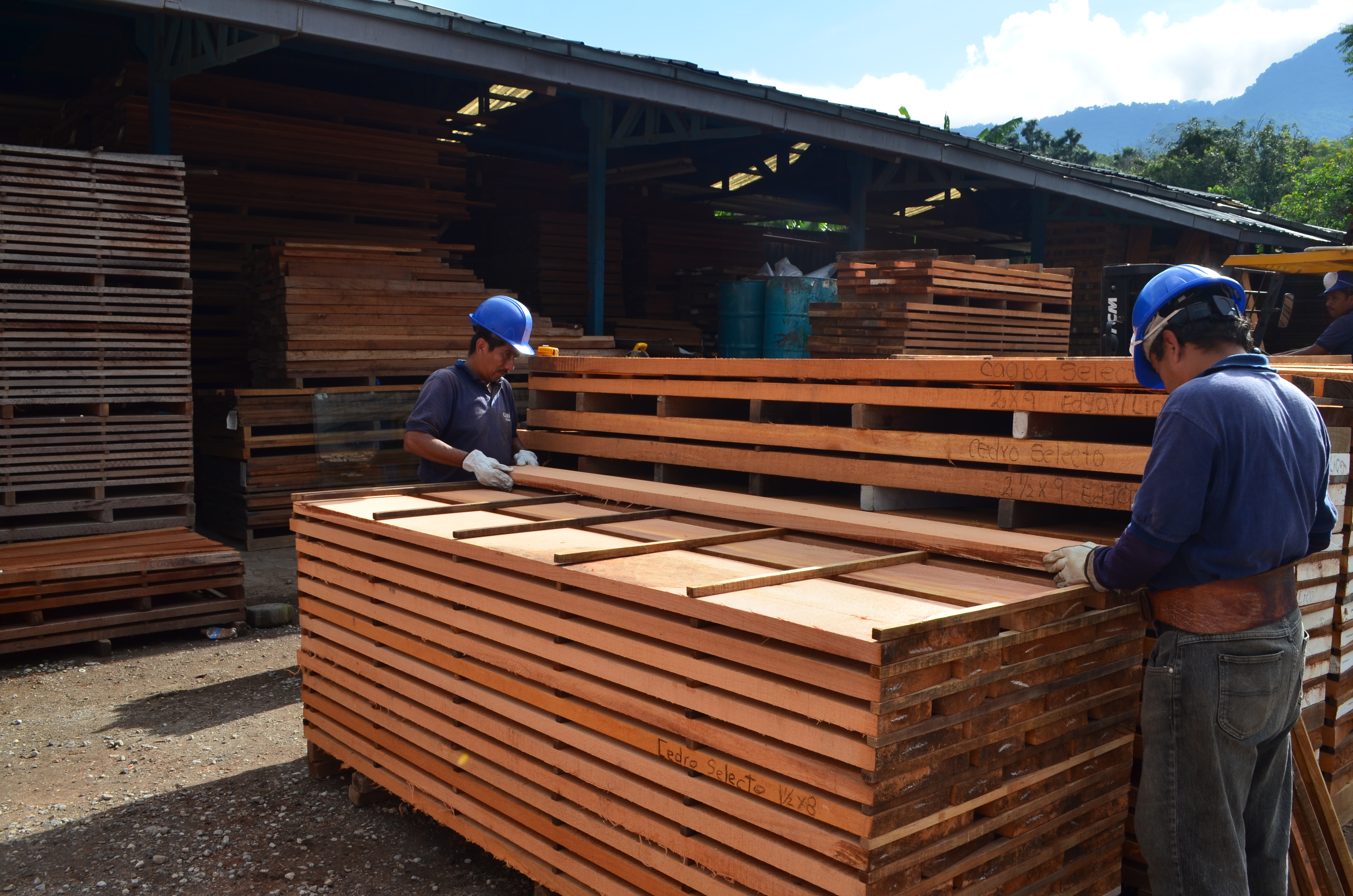 Las herramientas ayudarán a vincular la oferta con la demanda, desde el lado forestal a la parte de la transformación. (Foto Prensa Libre: cortesía)