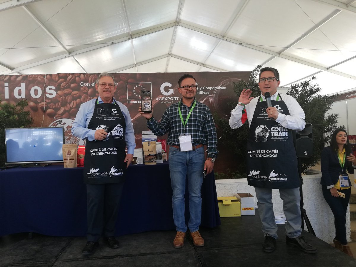 Café Apolo obtuvo el precio más alto en la primera subasta en el Coffee Trade 2019. (Foto, Prensa Libre: Agexport).