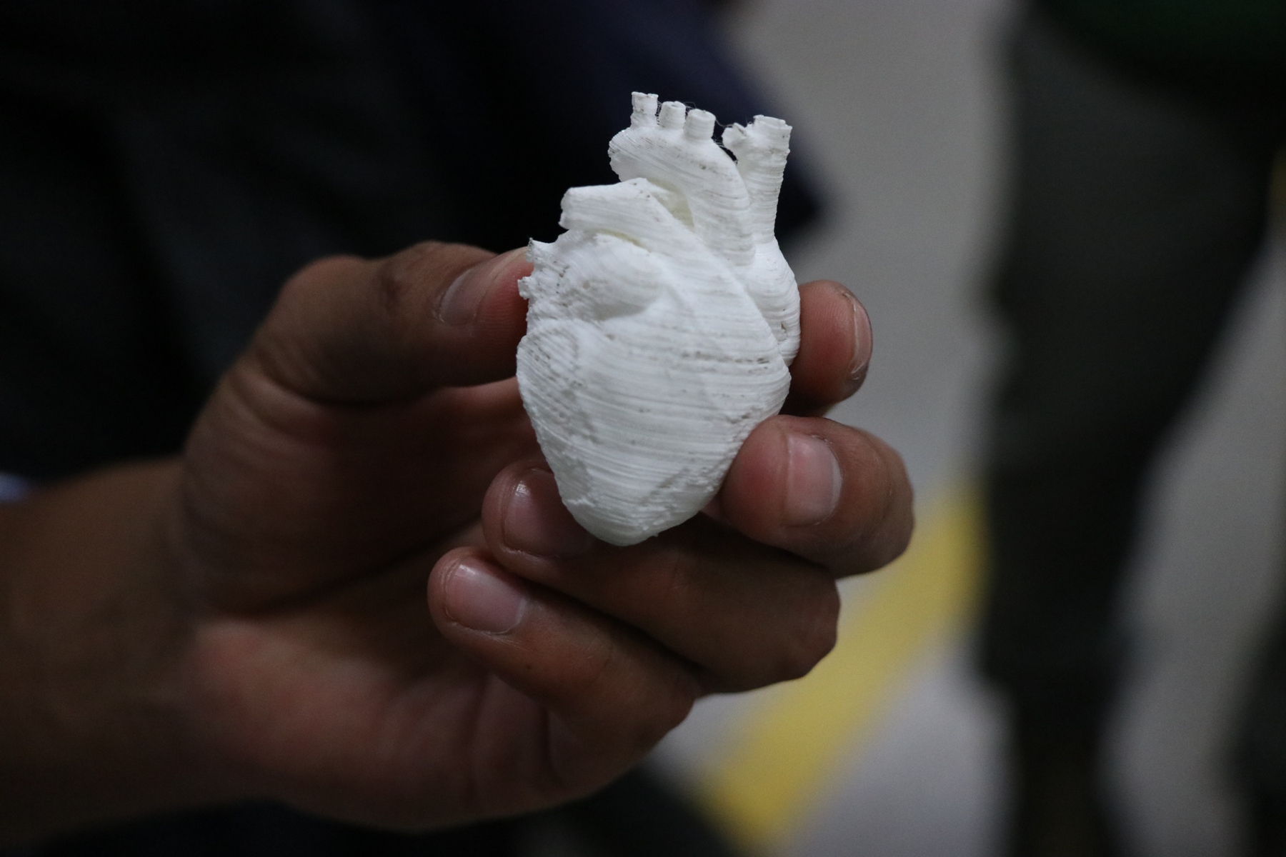 Este fue el prototipo de un corazón hecho con la impresora 3D fabricada por el estudiante quetzalteco. (Foto Prensa Libre: María Longo) 