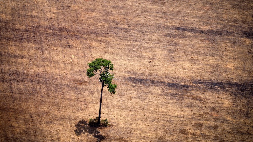 La cuenca del río Amazonas es una de las zonas más afectadas del mundo.