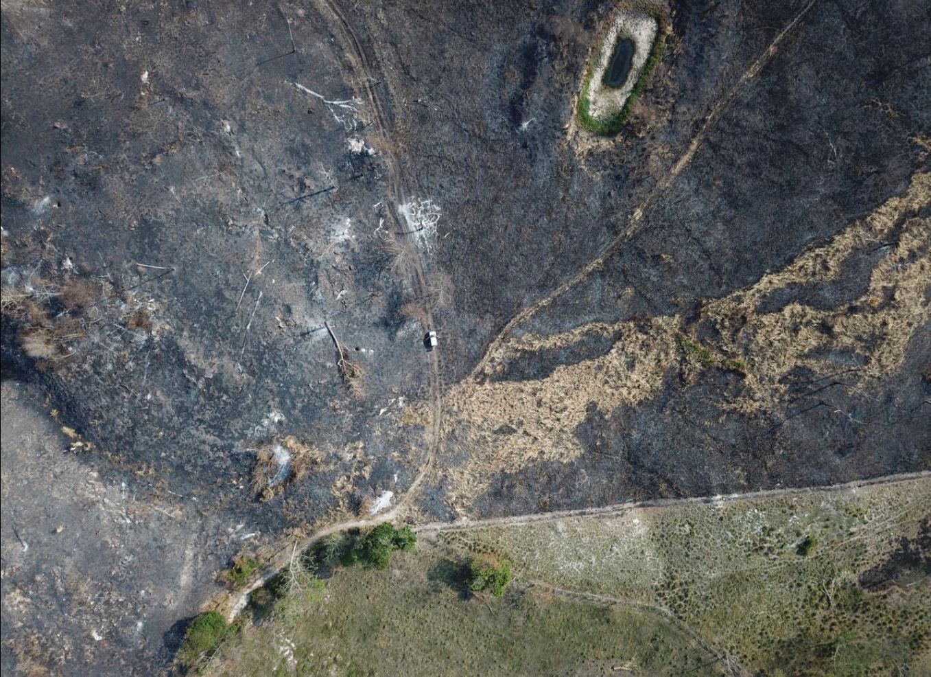 Así se observó el área conocida como La Colorada-Lechugal, San Andrés, Petén, el miércoles 3 de abril de 2019. (Foto Prensa Libre: Cortesía del Conap)