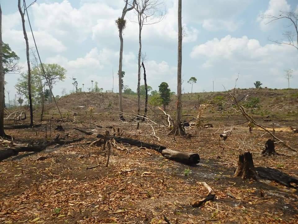 Cuatro días costó controlar el incendio forestal que afectó el área donde se ubica el monumento cultural Dos Pilas. (Foto Prensa Libre: El Gráfico de Oriente)