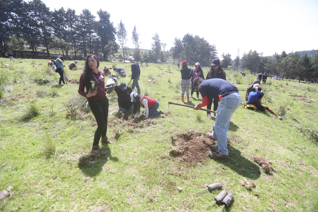 Universitarios ayudan a recuperar bosques afectados por incendios forestales y tala de árboles. (Foto Prensa Libre: María Longo) 