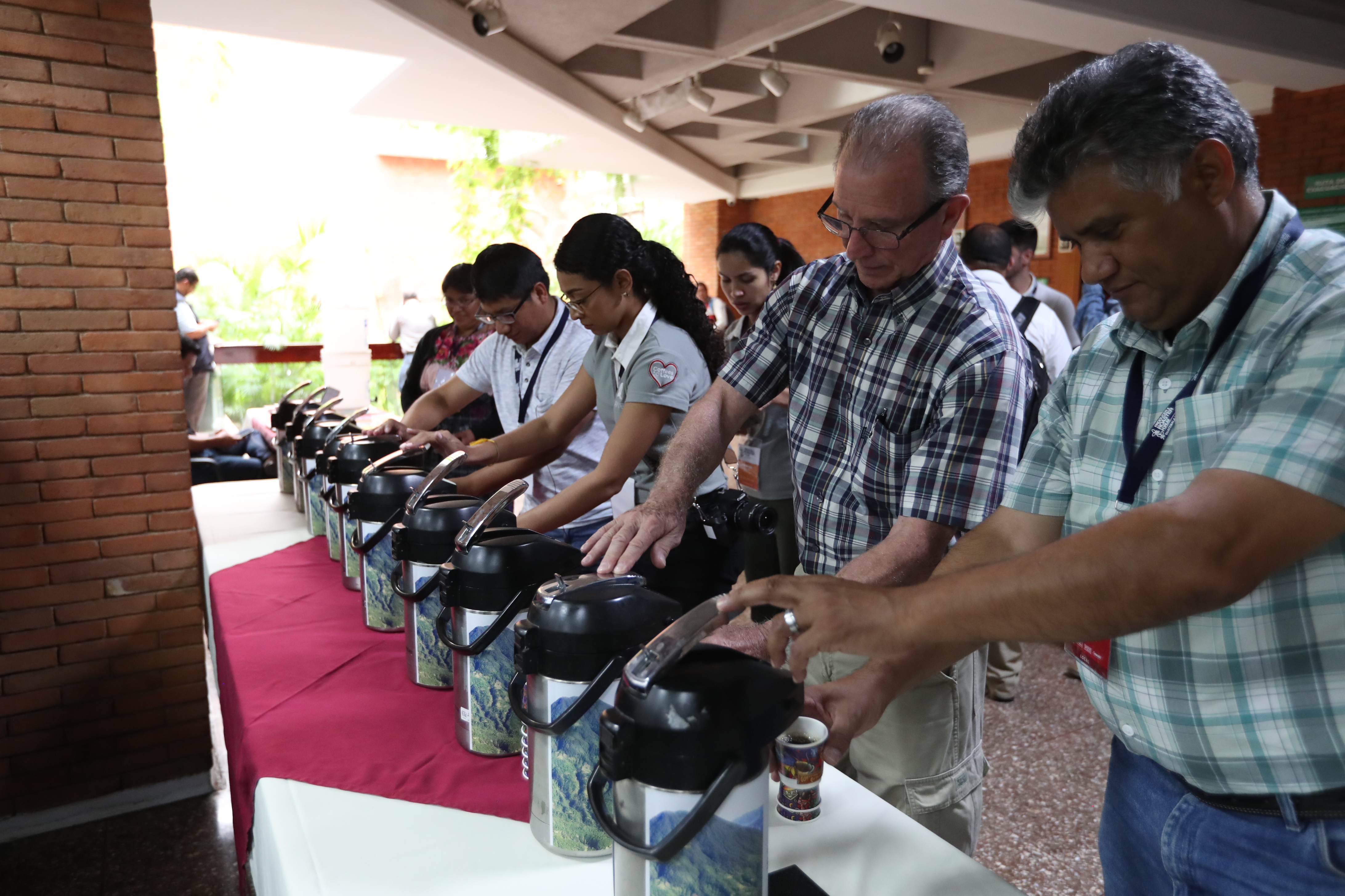 El año cafetero finaliza el próximo 30 de septiembre y se espera cerrar 4.3 millones de quintales de exportación de café oro en la cosecha 2019-20. (Foto Prensa Libre: Raúl Juárez)