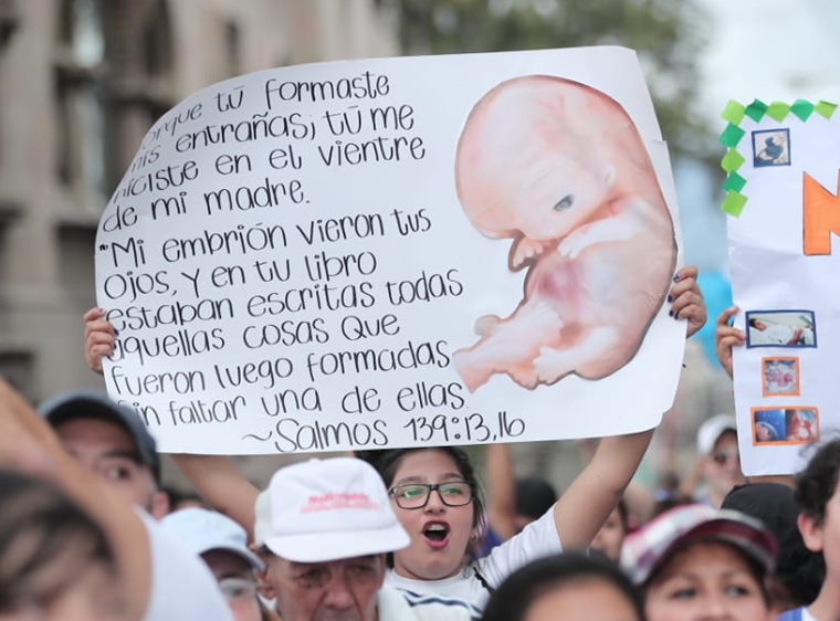 La iniciativa de ley 5272 ha causado polémica. La normativa está por ser aprobada en tercera lectura. (Foto Prensa Libre: Hemeroteca PL)