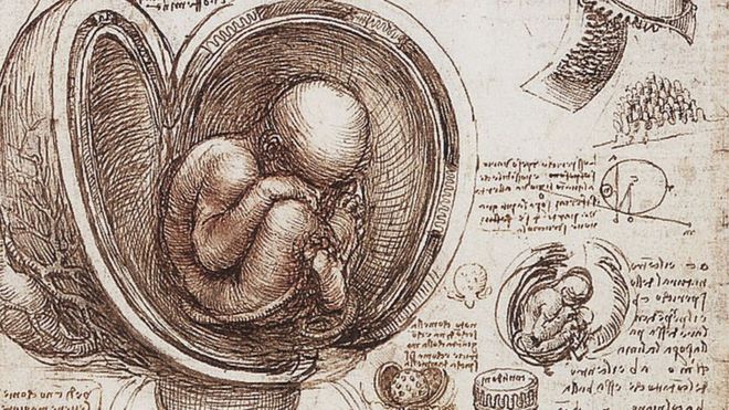 De todos los famosos estudios anatómicos de Leonardo da Vinci, aquellos vinculados al corazón fueron los más relevantes para la ciencia. GETTY IMAGES