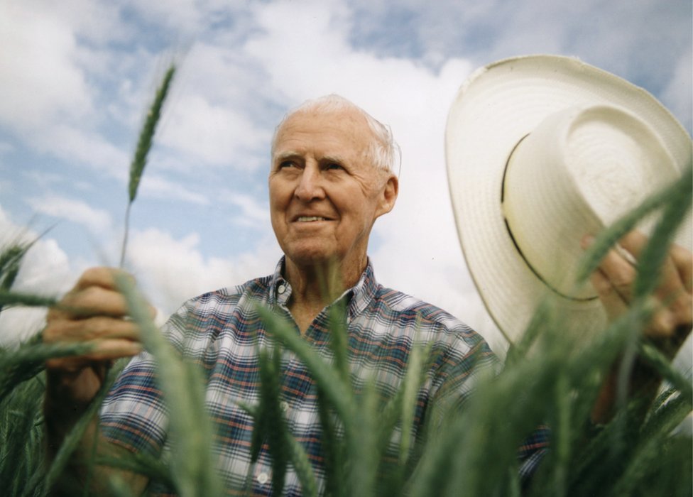 Norman Borlaug es reconocido mundialmente por haber salvado a millones de personas del hambre.