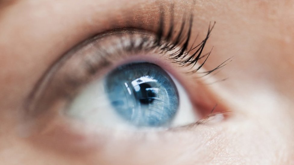El glaucoma es la principal causa de ceguera irreversible.