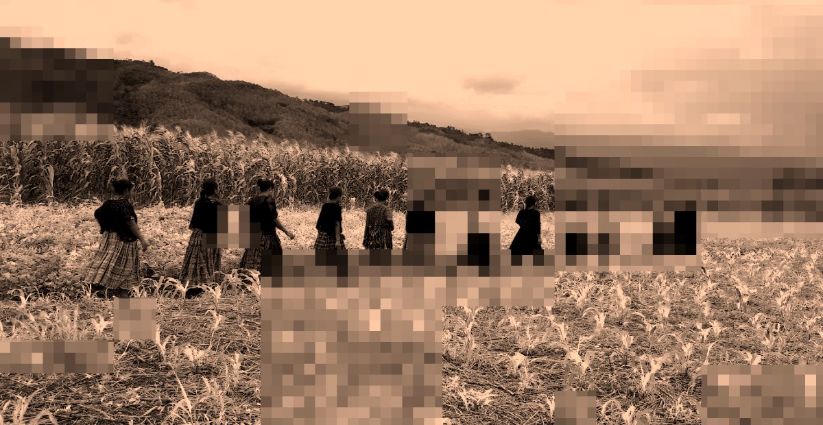 (Foto Prensa Libre: La Fototeca)