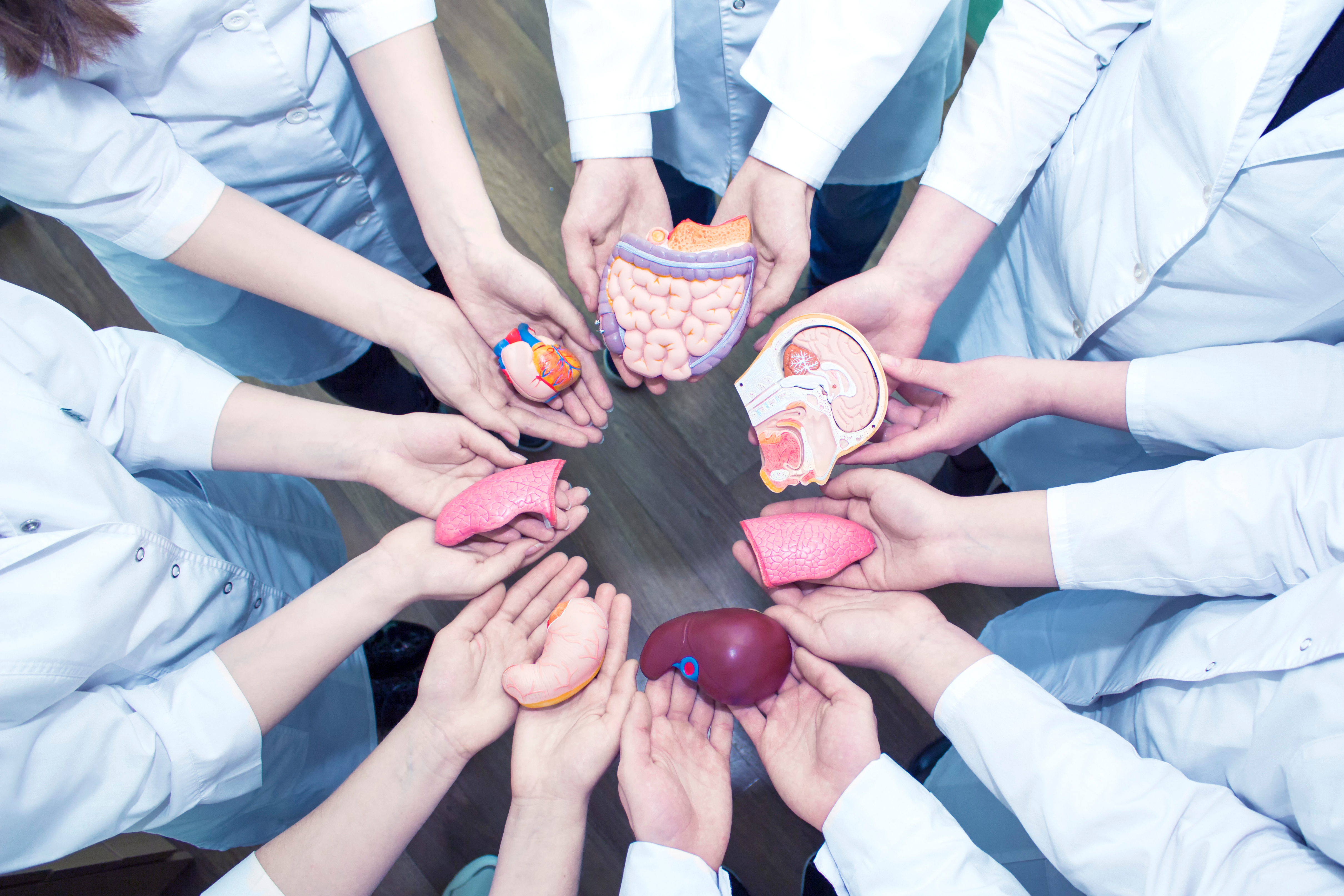 Cada 6 de junio se celebra el Día Mundial del Paciente Trasplantado, establecido por la Organización Mundial de la Salud (OMS). (Foto Prensa Libre: Servicios).