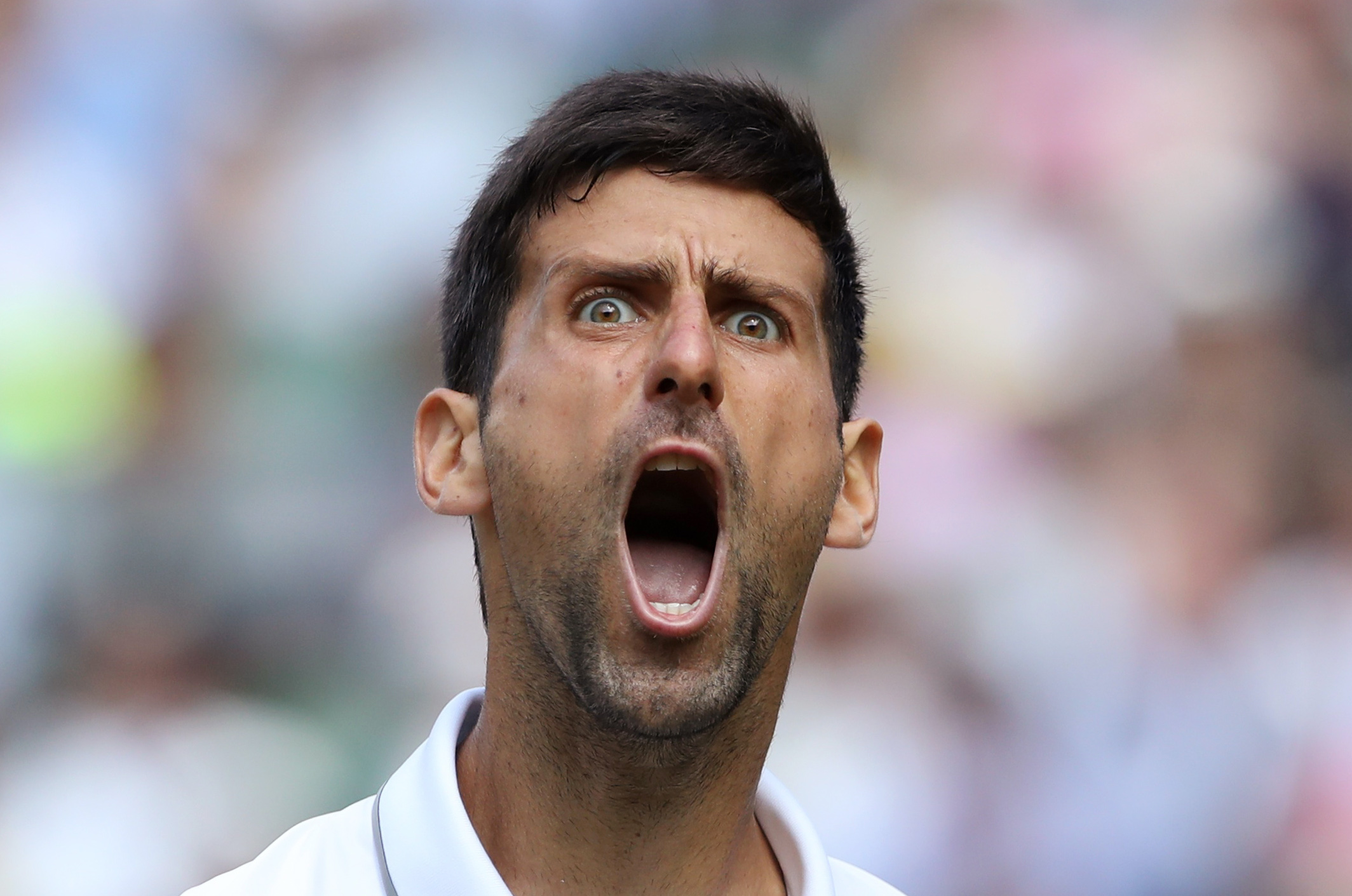 El tenista serbio Novak Djokovic celebra el pase a la final de Wimbledon. (Foto Prensa Libre: AFP)