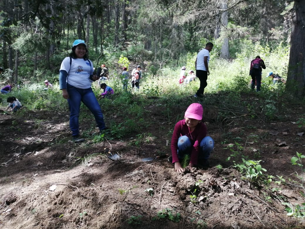 De las 150 personas que participaron en la reforestación más del 30 por ciento eran niños. (Foto Prensa Libre: María Longo) 