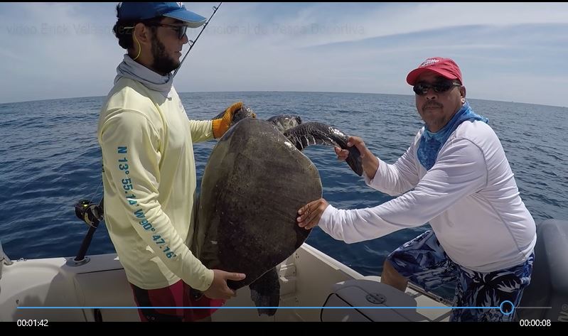 Guadalupe y Cristopher, de apellido Franco, liberaron una tortuga parlama. (Foto Prensa Libre: Cortesía)