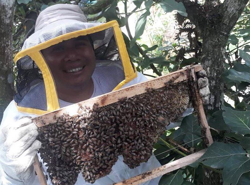 
El rescate de abejas es fundamental para la naturaleza, aseguran expertos. (Foto Prensa Libre: Cortesía Bee Hub Guate)
