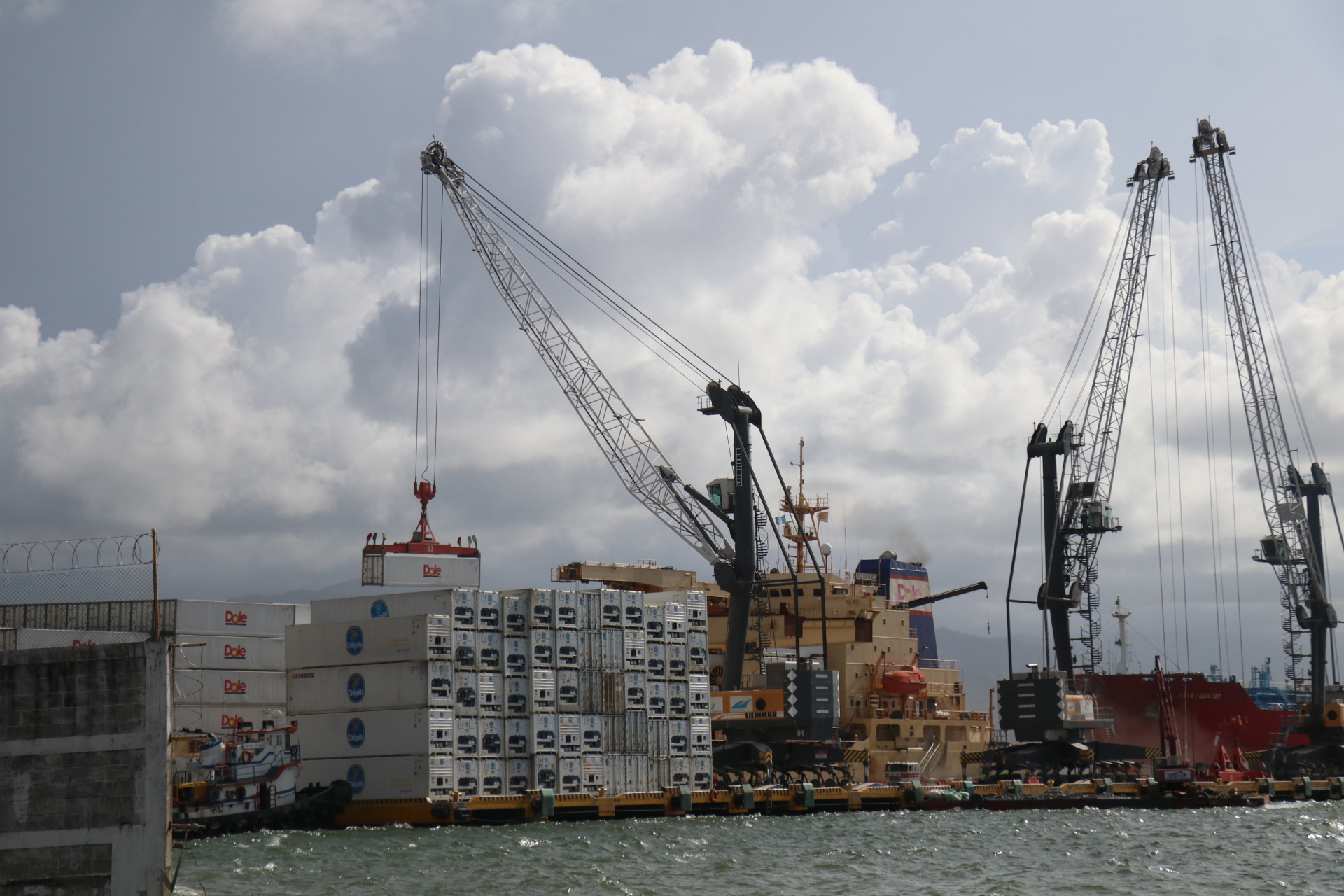 La alerta de la OMC sobre el estancamiento del comercio mundial significa que habrá menor demanda de bienes y servicios a escala global, según el experto Enrique Lacs Palomo. (Foto Prensa Libre: Hemeroteca) 