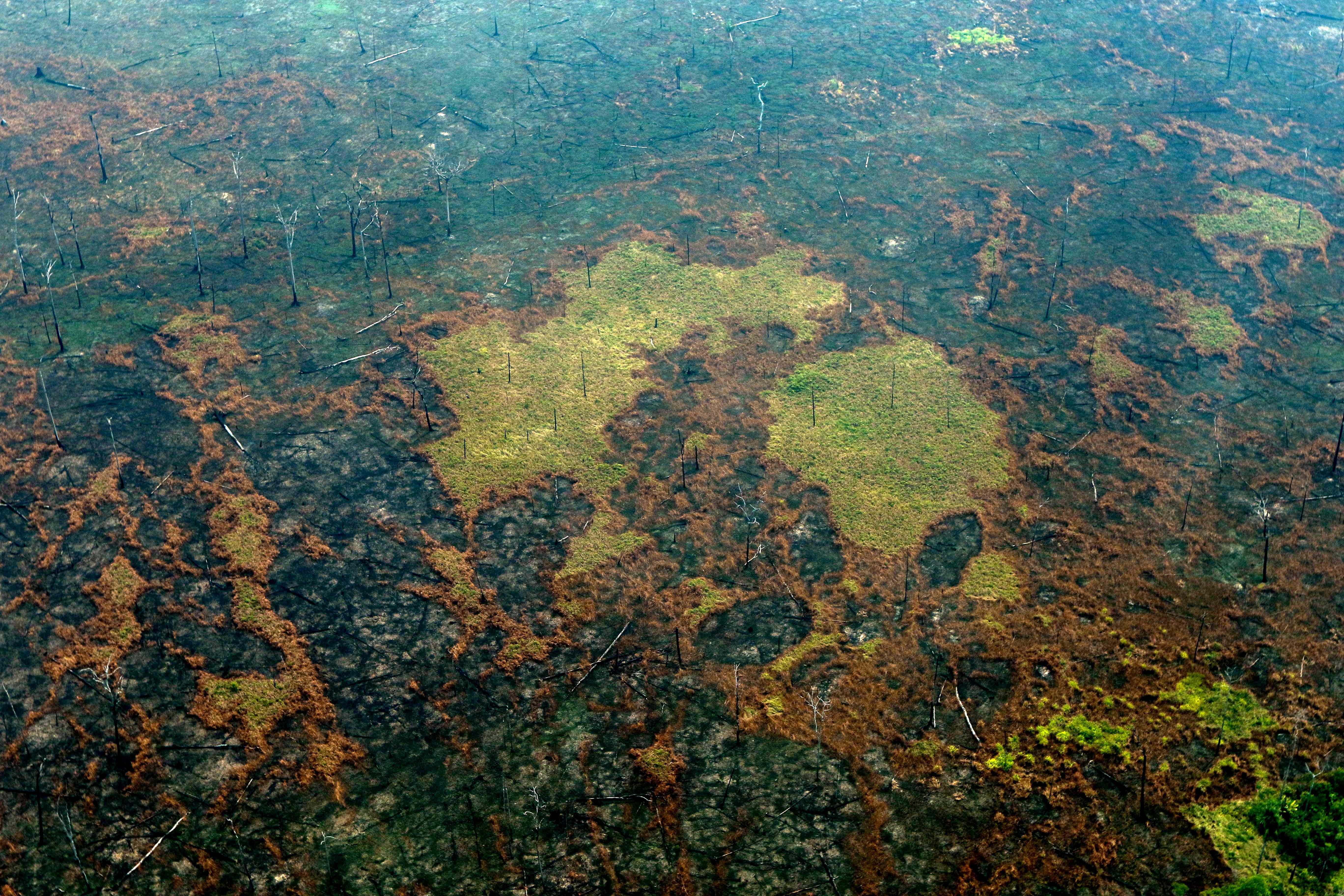 En algunas regiones amazónicas, la lluvia contribuyó a extinguir las llamas. (Foto Prensa Libre: AFP)