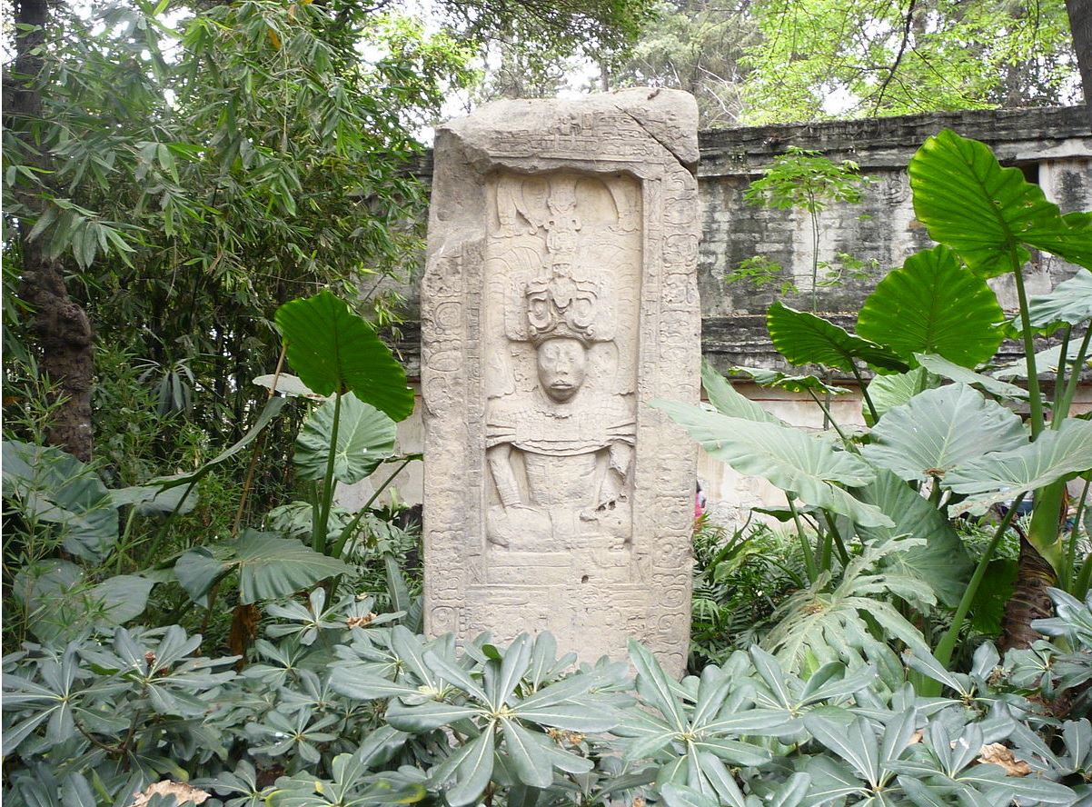 Imagen de referencia de una Estela localizada en la cercanía del campo Maya de la pieza que sería subastada. (Foto Prensa Libre: Museo Nacional de Antropología)