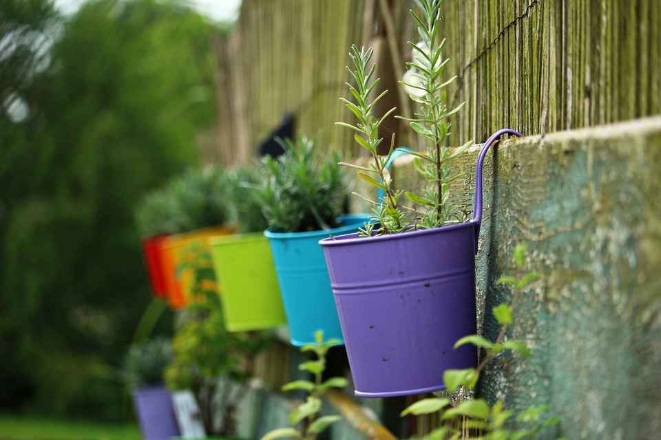 Las plantas tienen diversos beneficios para la salud. (Foto Prensa Libre: Servicios). 