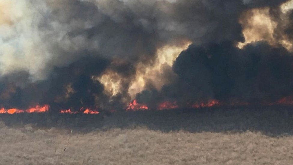 Las llamas en la selva no son muy altas, así que hay que combatirlas desde el suelo.