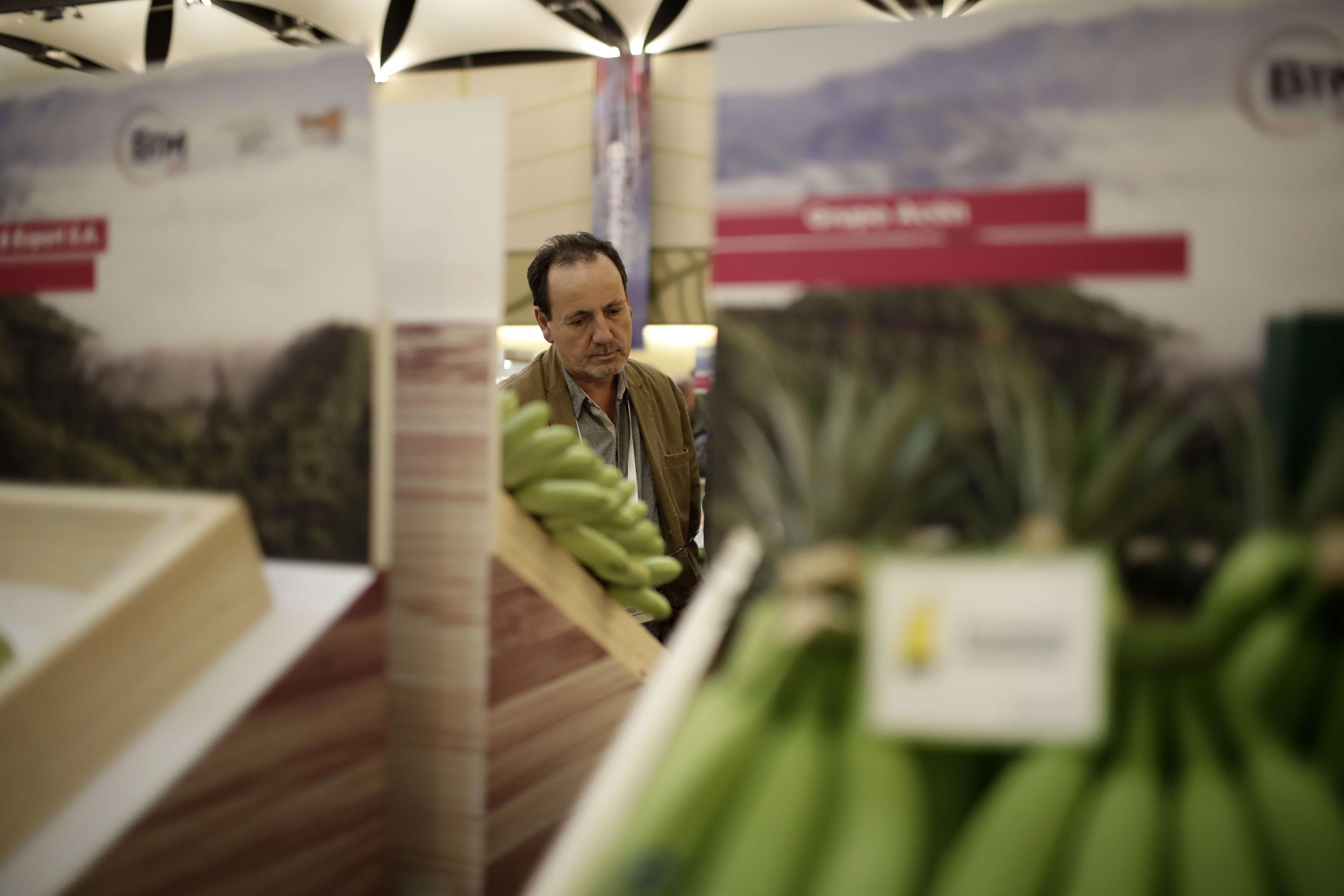 Un visitante observa este miércoles productos agrícolas costarricenses durante la feria comercial Buyers Trade Mission (BTM), en San José (Costa Rica) el 18 de septiembre de 2019. (Foto Prensa Libre: EFE).