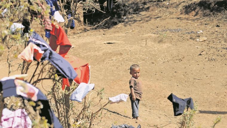 Hasta agosto Coatepeque reportó 381 casos de niños desnutridos. (Foto Prensa Libre: Hemeroteca PL)