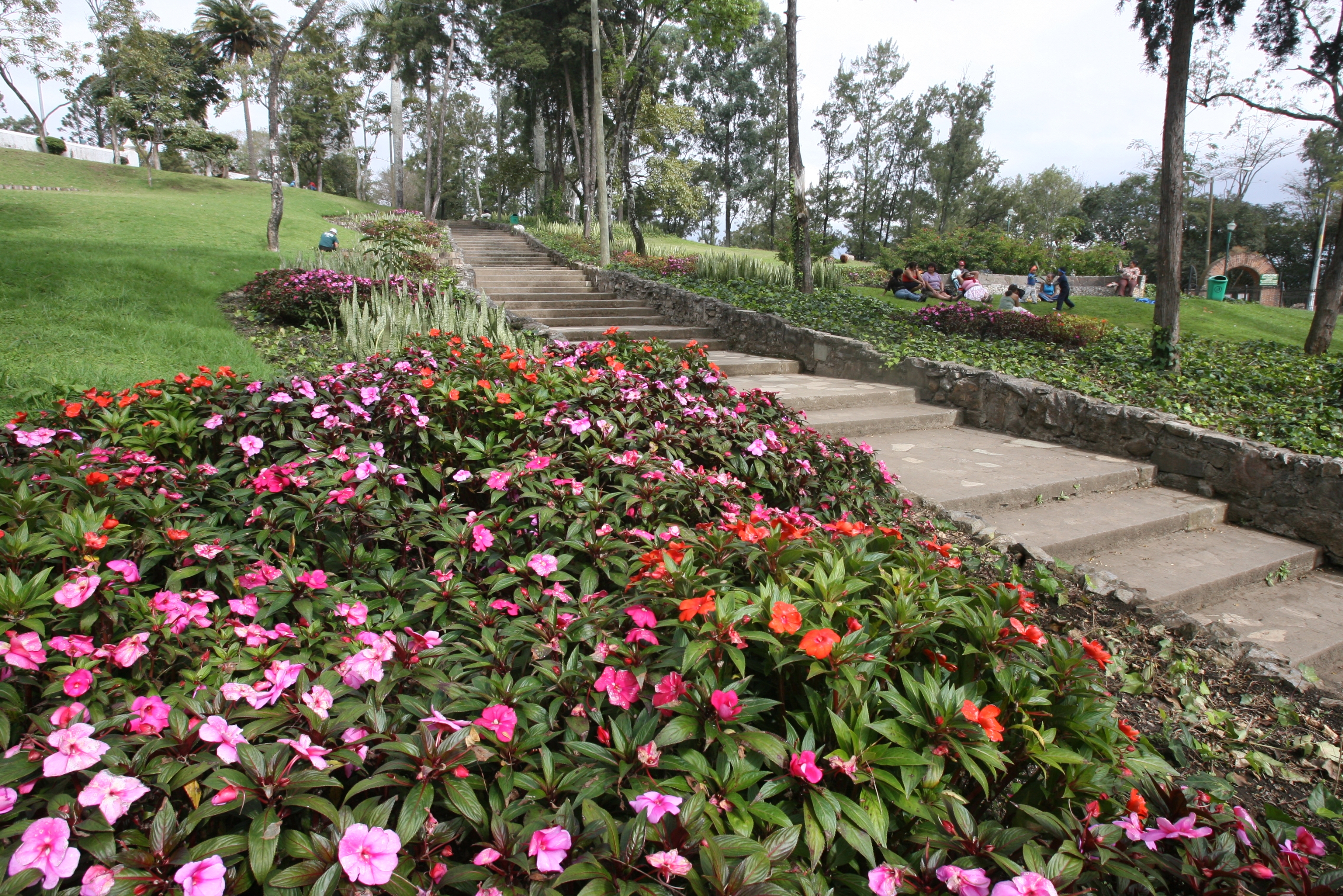 En parques de la ciudad serán introducidas plantas alimenticias. (Foto: Hemeroteca PL)