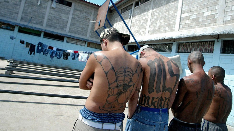 La principal prueba en contra de los 426 imputados detenidos es un testigo clave identificado como Noé, un antiguo miembro de la pandilla.