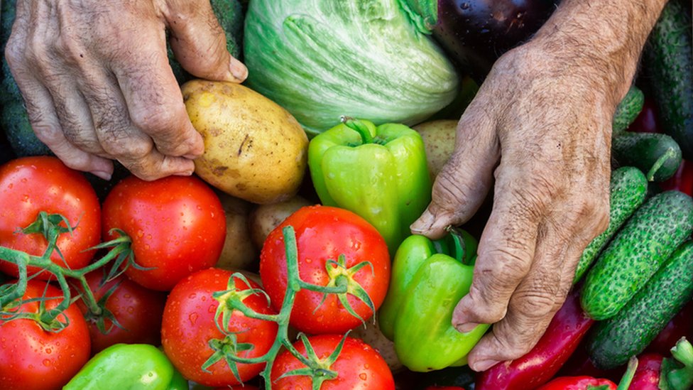 Los campesinos producen 80% de la comida en el mundo en desarrollo. A pesar de ello, son los más propensos a sufrir hambre.