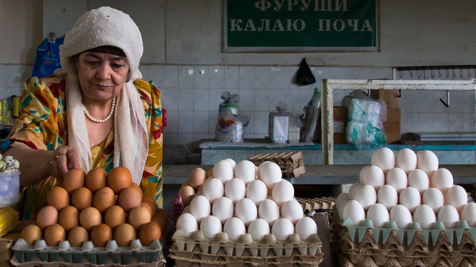 ¿Por qué los huevos tienen diferrntes colores?