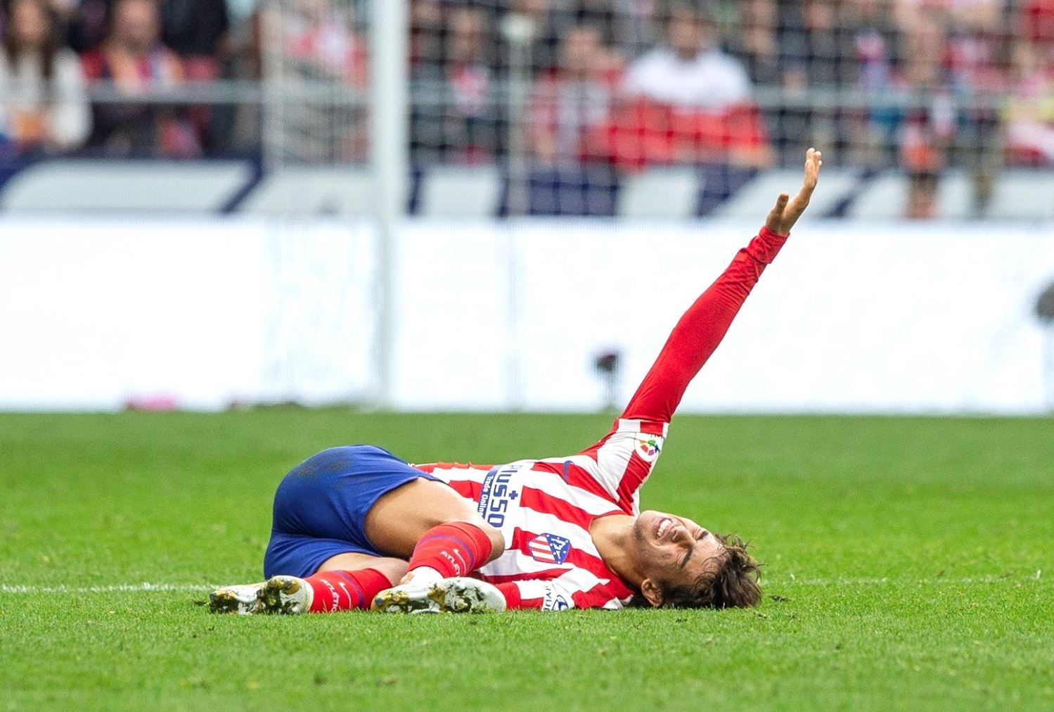 El delantero portugués del Atlético de Madrid, Joao Félix, se lamenta tras sufrir una lesión en su tobillo, durante el duelo contra el Valencia en el Wanda Metropolitano. (Foto Prensa Libre: EFE).