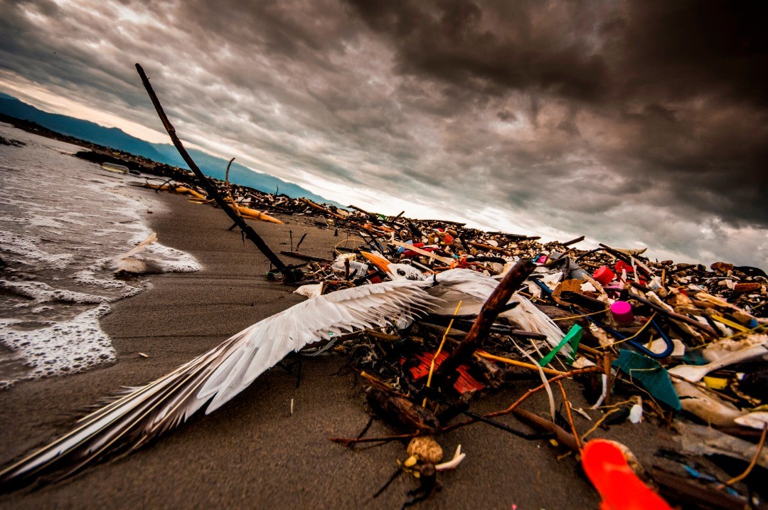 En la desembocadura del río Motagua se acumulan toneladas de basura. (Foto Prensa Libre: Cortesía Sergio Izquierdo)