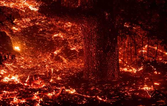 Según las autoridades, se podrían emitir evacuaciones adicionales a medida que crezca el incendio. (Foto Prensa Libre: AFP)