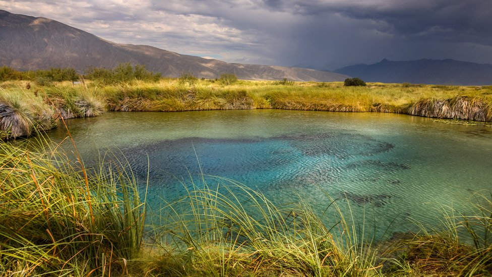 Cuatro Ciénegas es un lugar único en el mundo.Foto: Getty Images